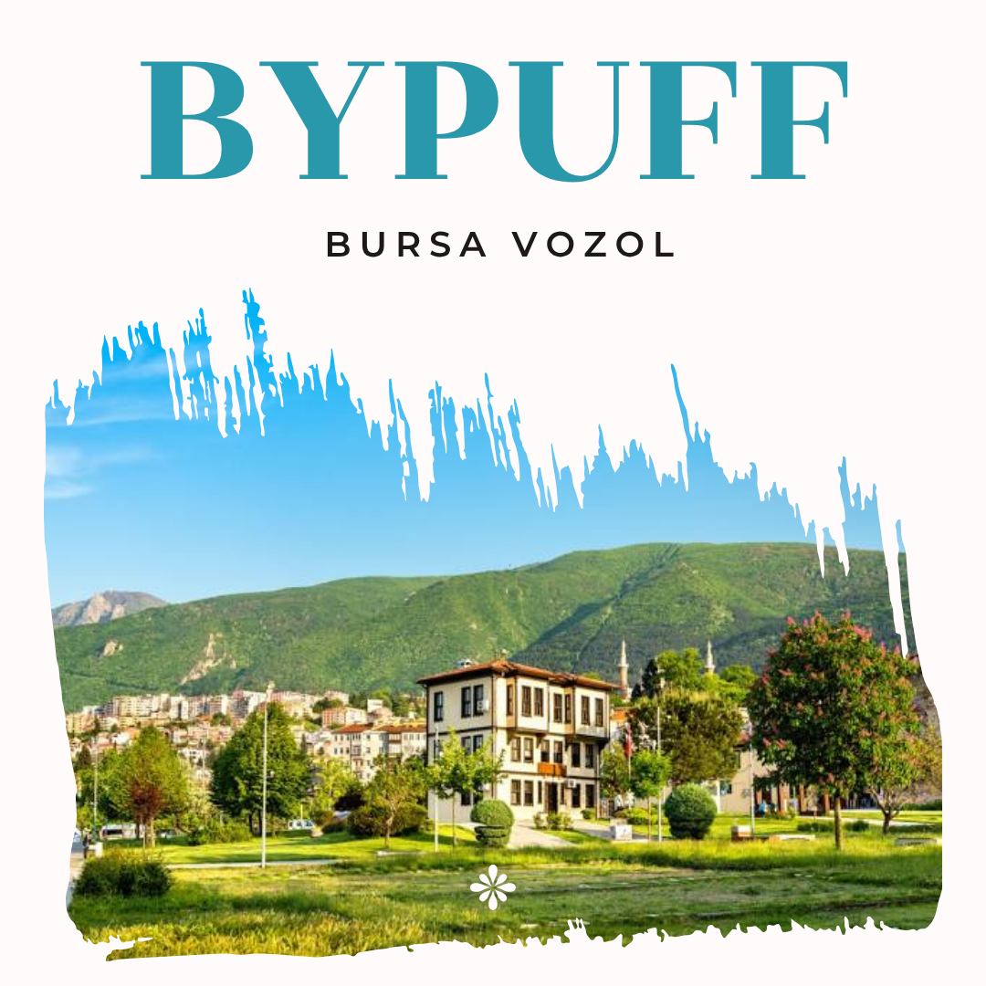 Bursa vozol satış noktası